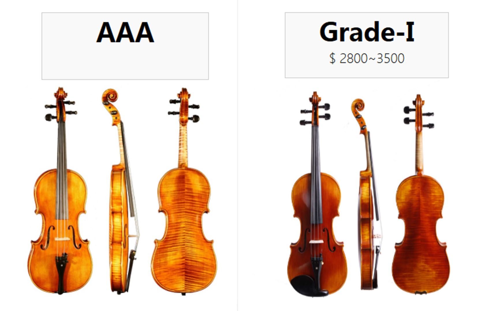 2.提琴产品图-英.jpg