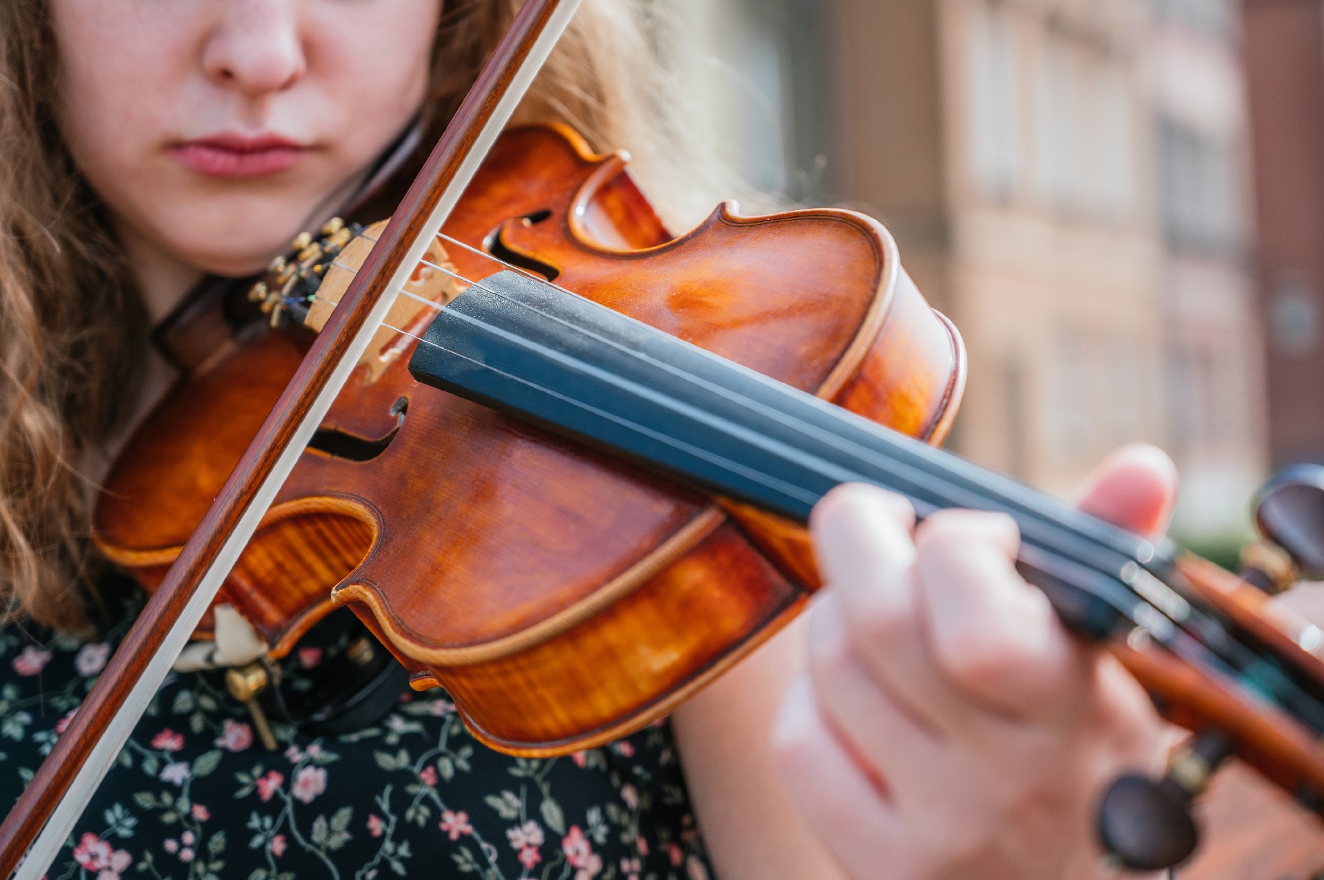 Franz Sandner Violin Nylon Strings: Enhance Beginners’ Performances