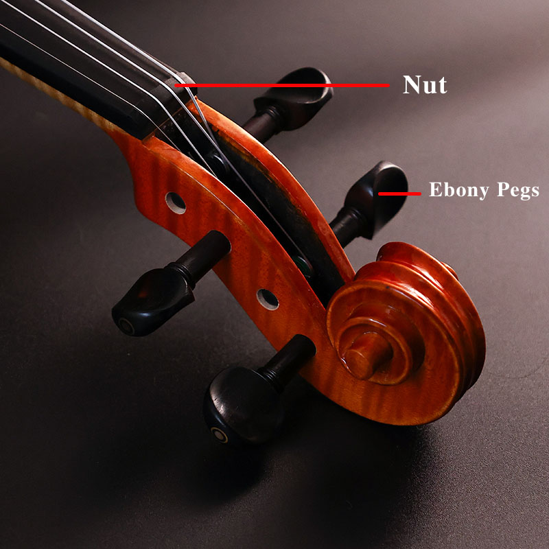 How to Choose the Right Violin for You – Beginner’s Guide
